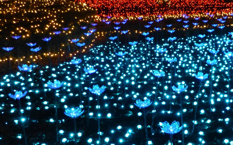 イルミネーション