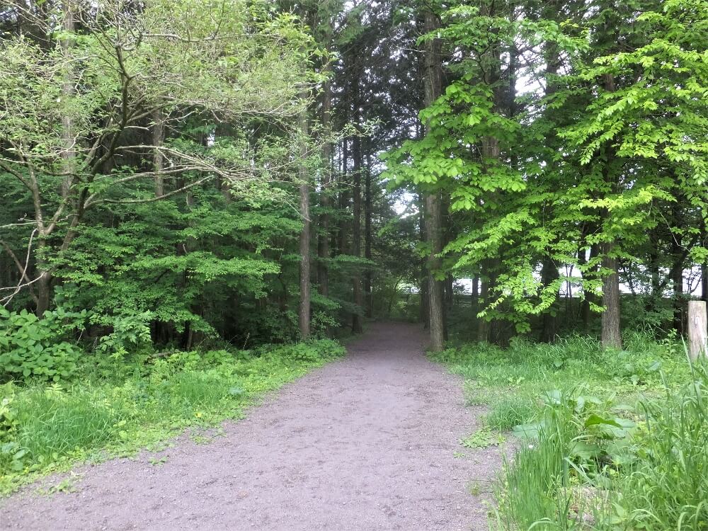 富士花鳥園 屋外展示