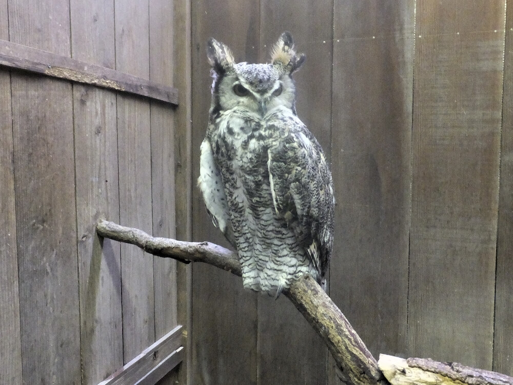 富士花鳥園