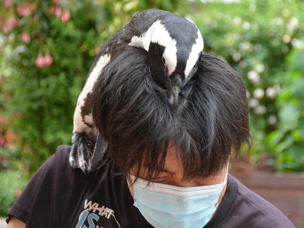 富士花鳥園 飼育員さん大好きなルカ君