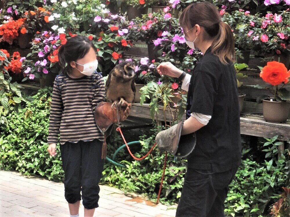 富士花鳥園 記念撮影タイム