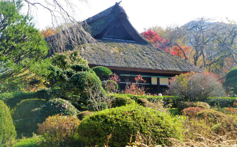 秩父宮記念公園