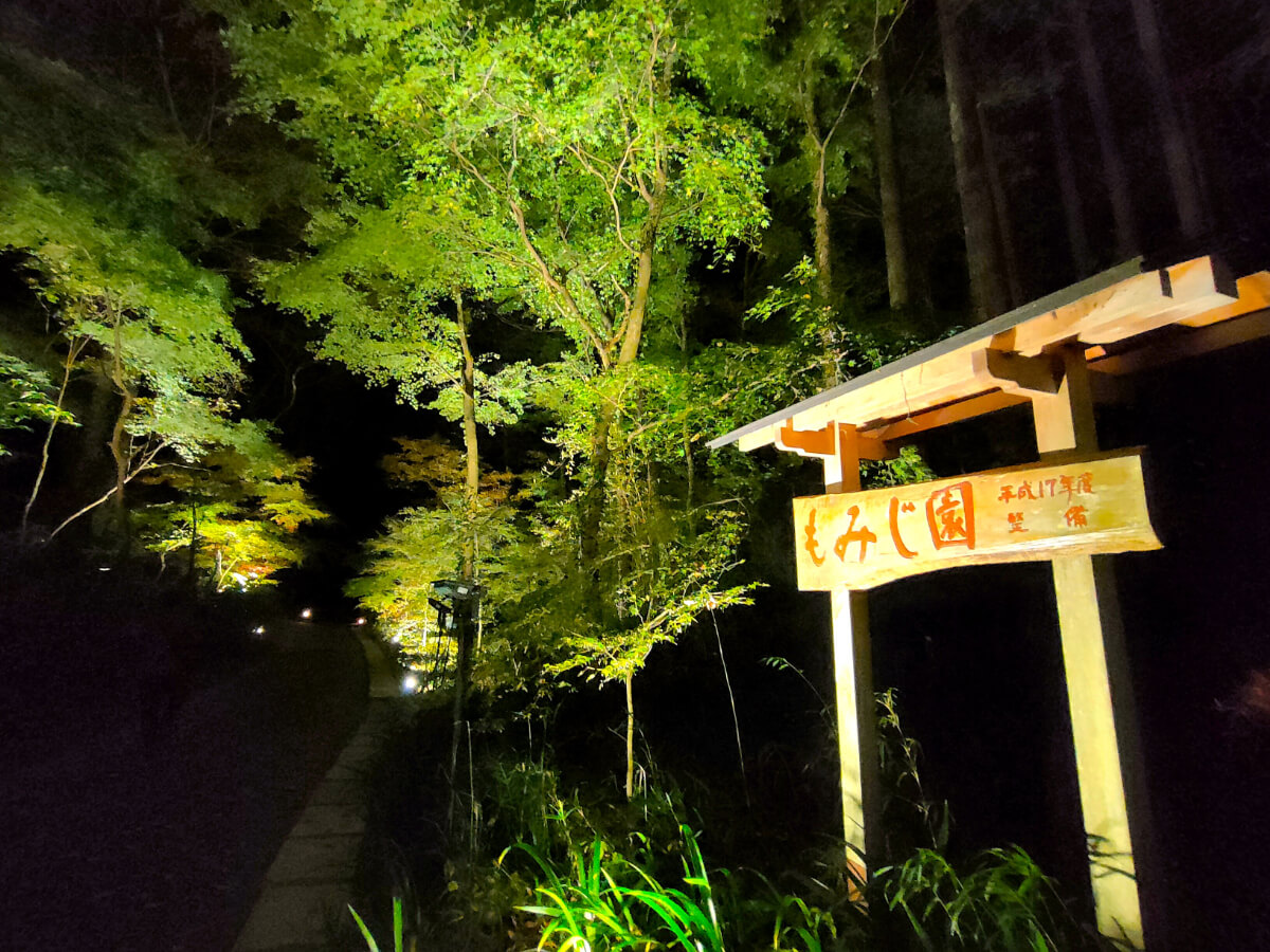秩父宮記念公園 紅葉ライトアップ もみじ園