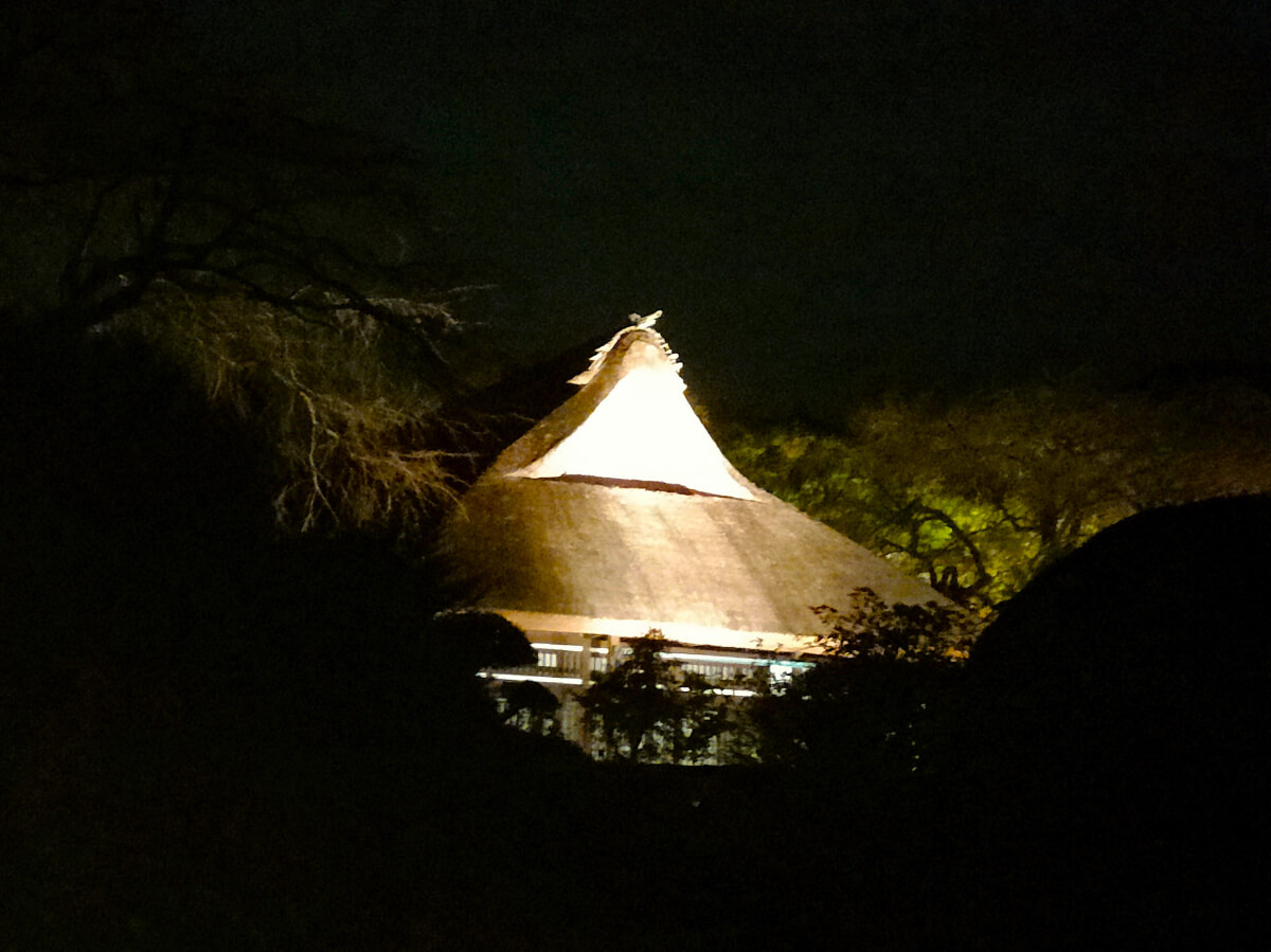 秩父宮記念公園 ライトアップ 母屋