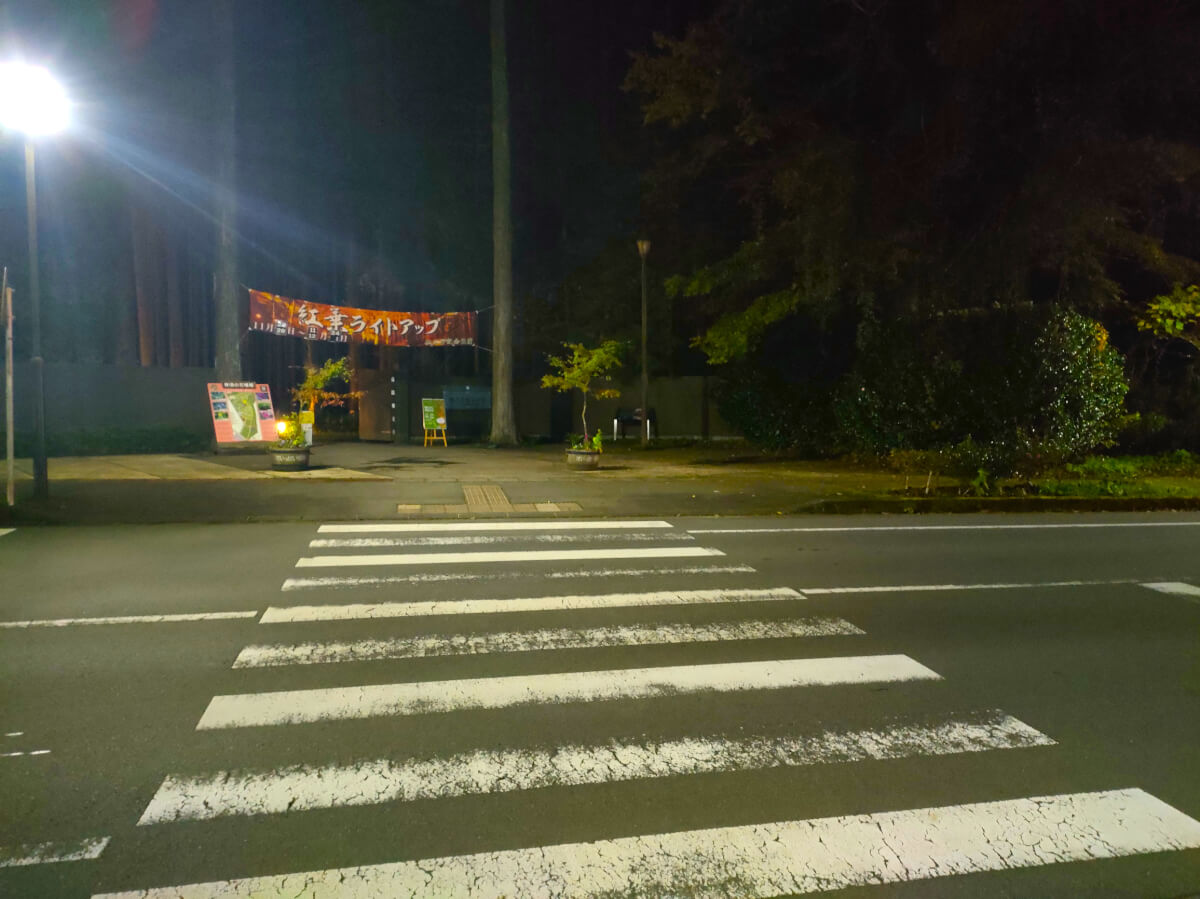 秩父宮記念公園 横断歩道