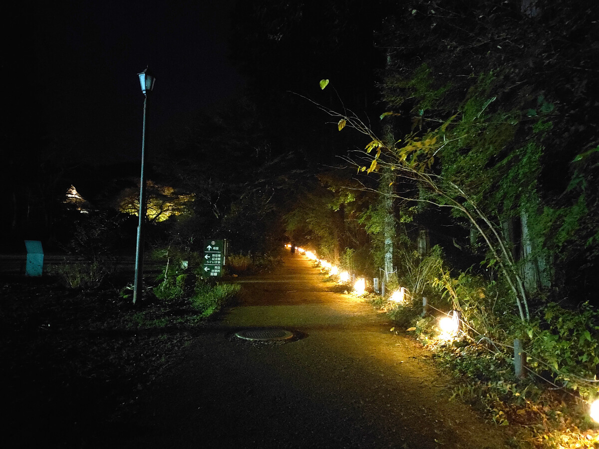 秩父宮記念公園 紅葉ライトアップ 灯り