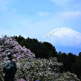 秩父宮記念公園