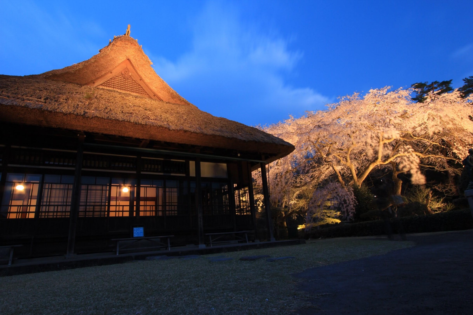 元別邸と桜 (写真提供 Yachiyo Mckean 様)