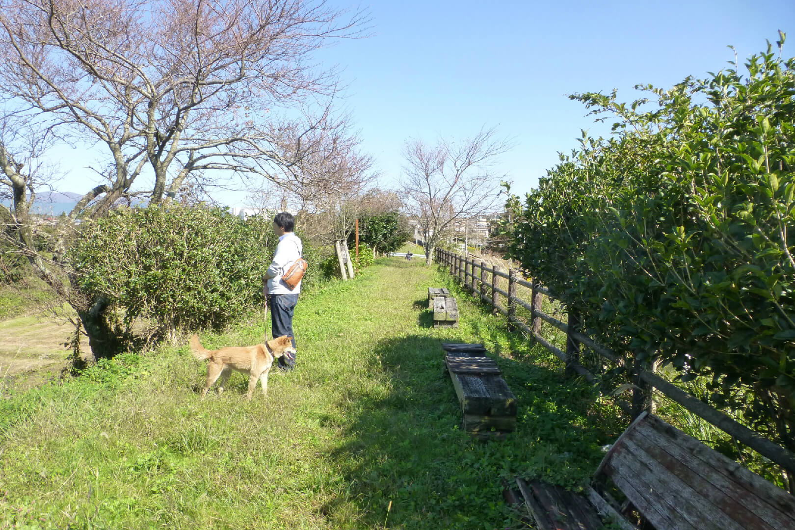 富士見台公園