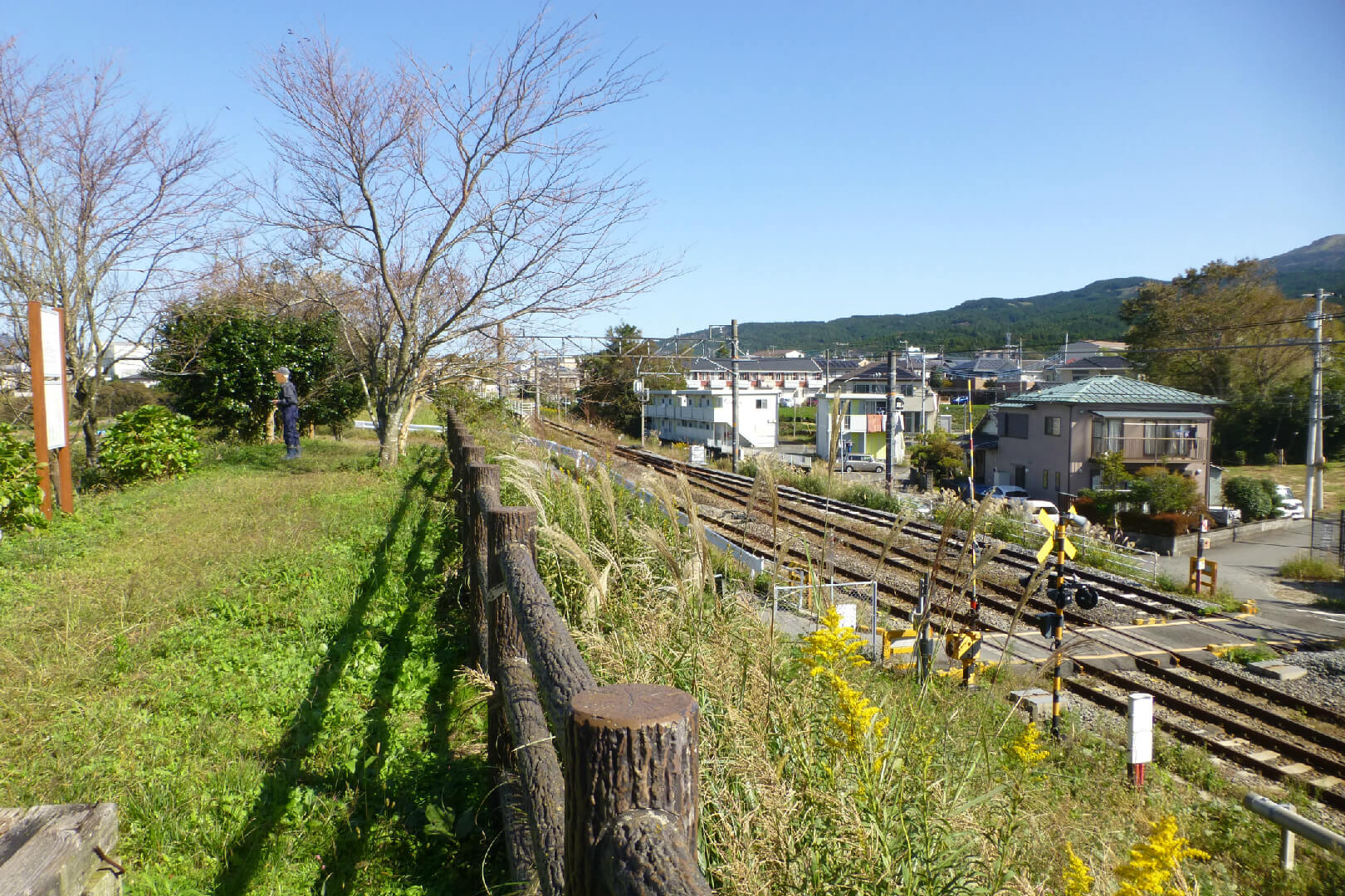 富士見台公園