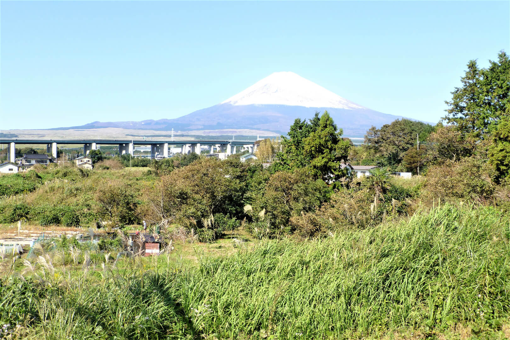 富士岡駅 ホームからの眺め