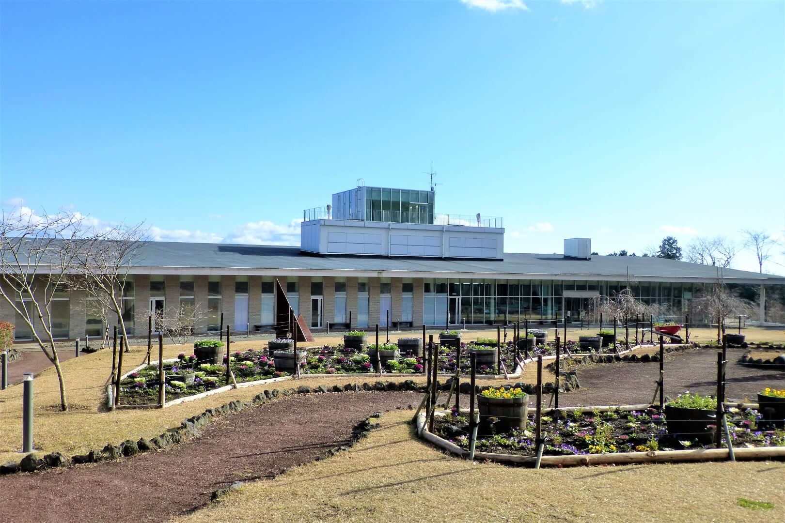 富士山樹空の森 展望テラス