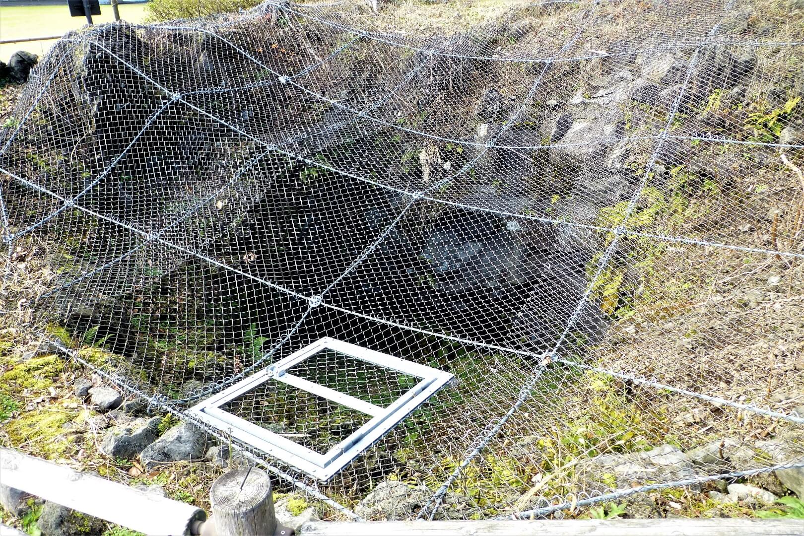 富士山樹空の森 堀金北溶岩樹型