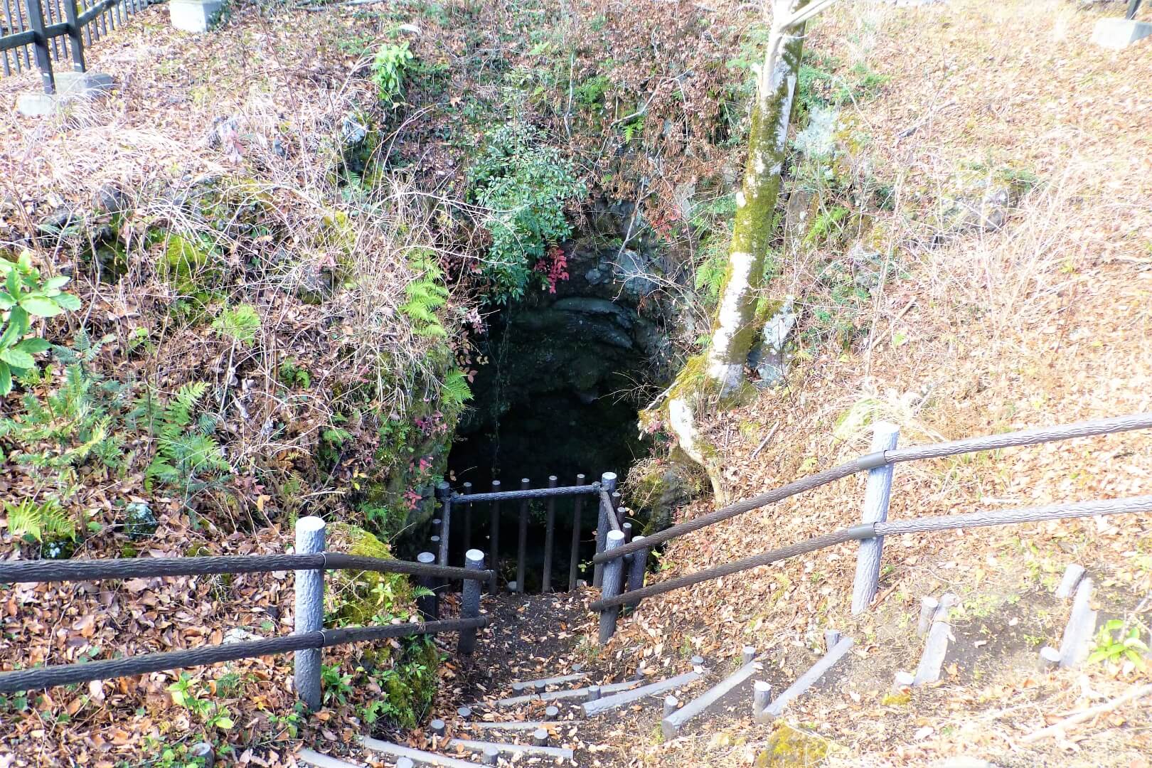 富士山樹空の森 丸尾溶岩樹型