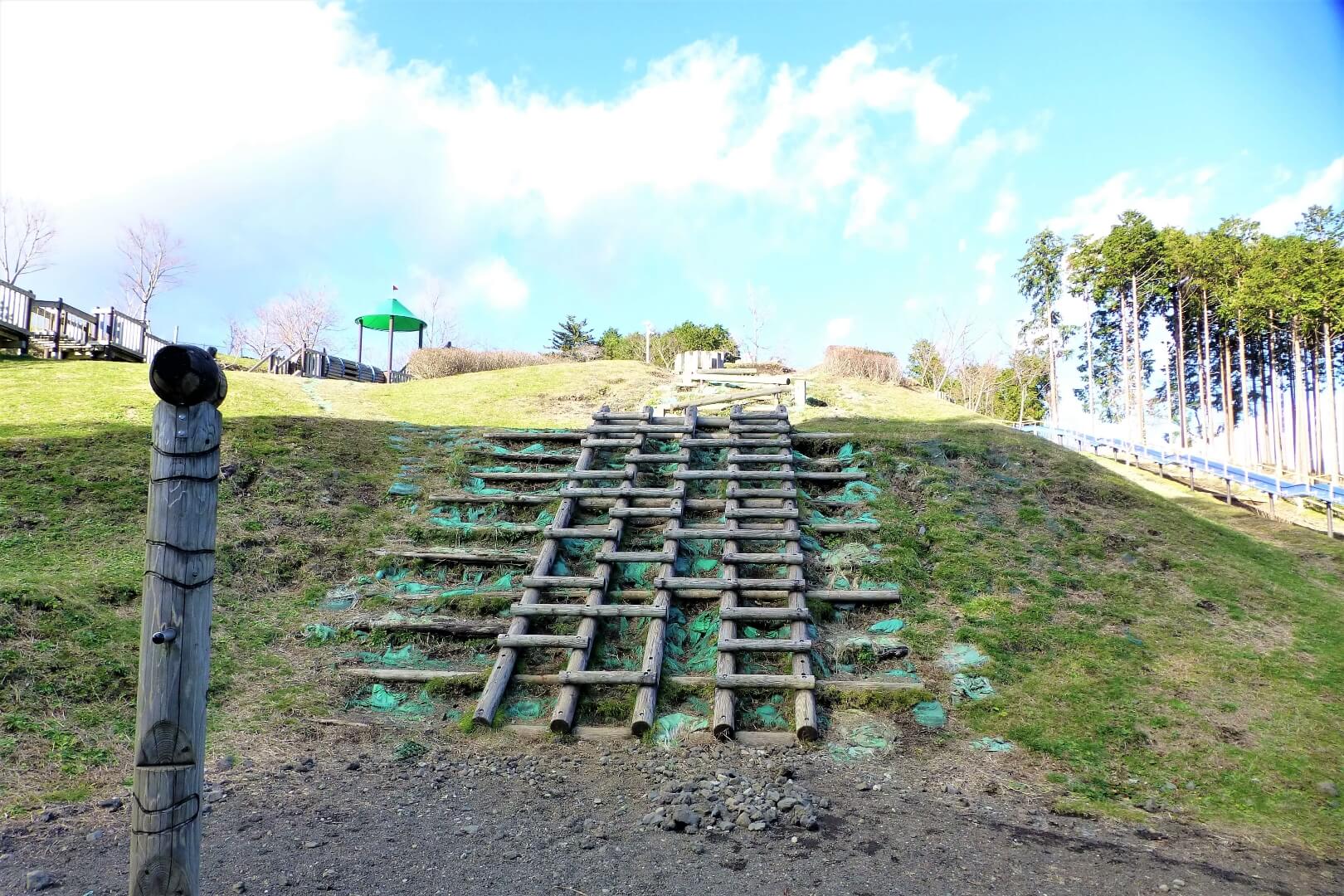 富士山樹空の森 アスレチック