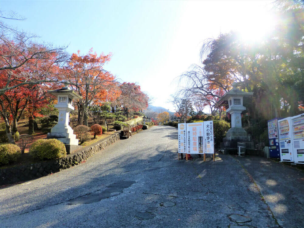 駐車場から
