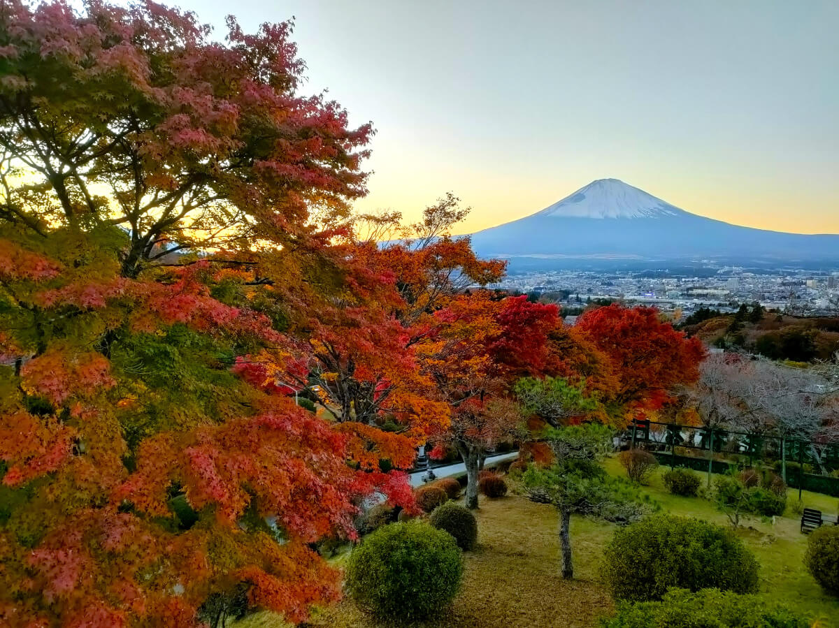 紅葉と富士山