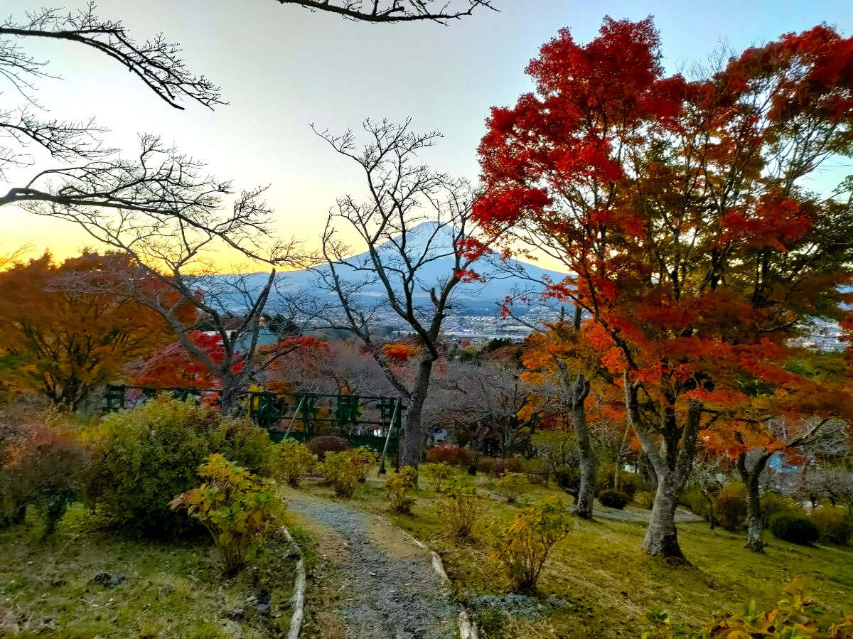 富士山見晴台 遊歩道