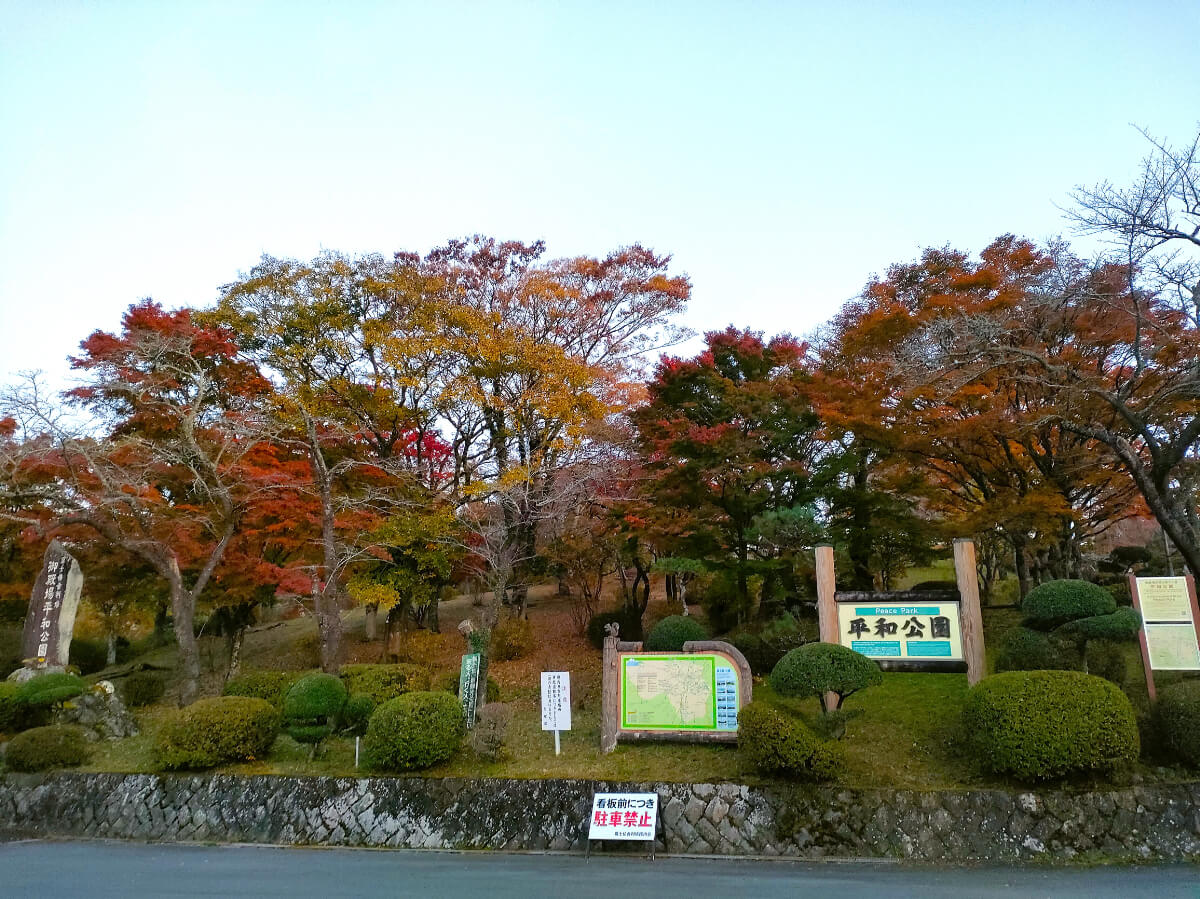 駐車場から見える紅葉