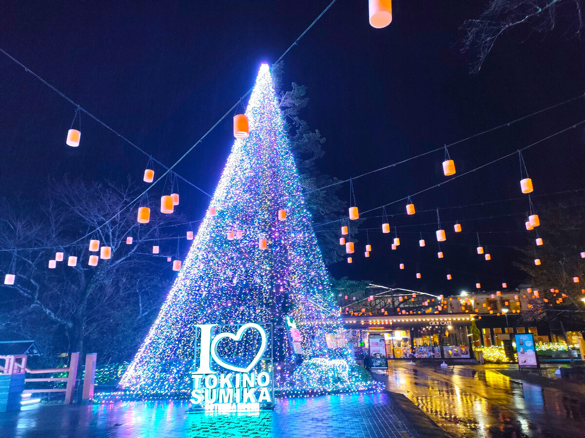 時之栖イルミネーション2024-2025「ひかりのすみか」