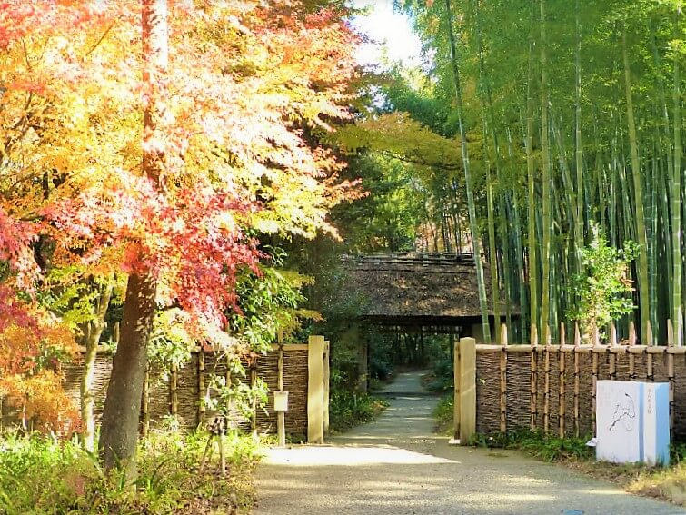 茅葺門と紅葉