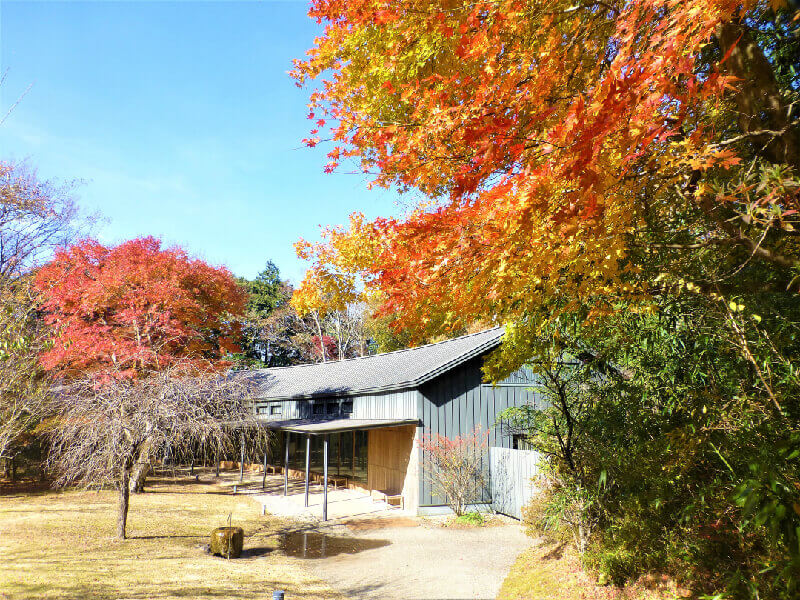 とらや工房と紅葉