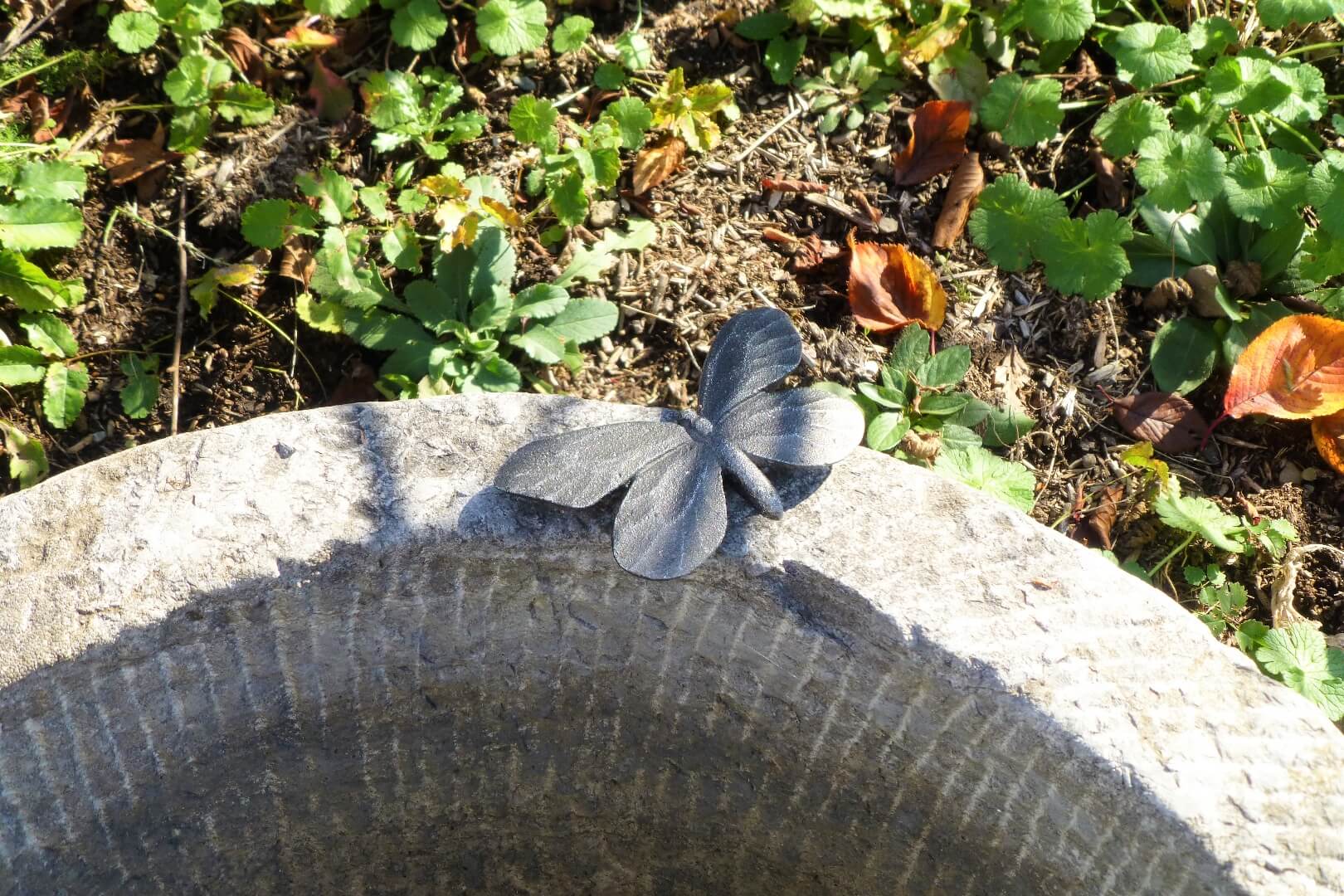 ヒメシロチョウ