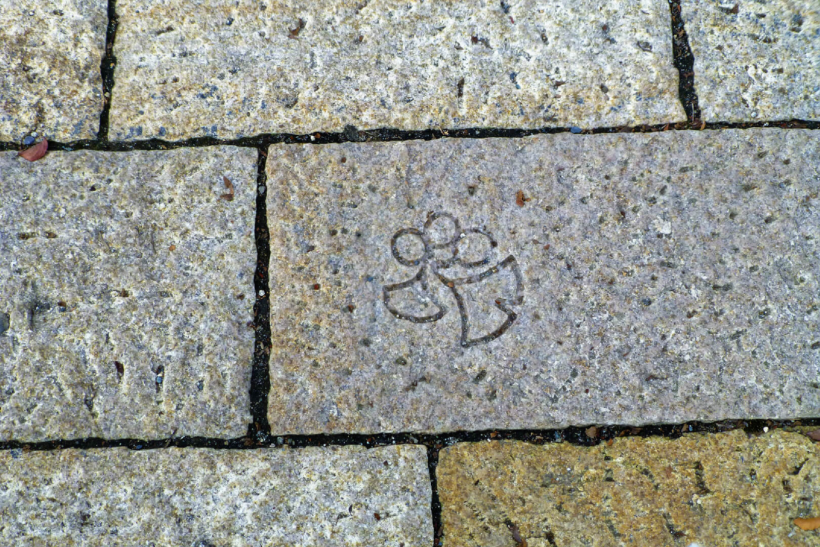 銀杏