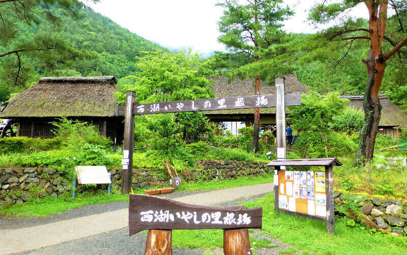 西湖いやしの里根場