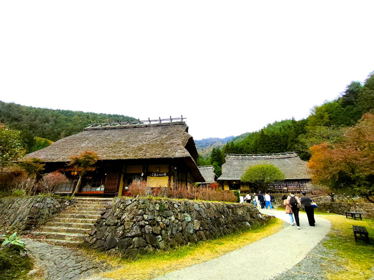 西湖いやしの里根場