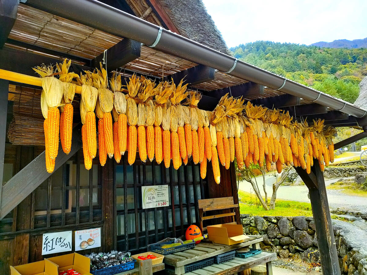 西湖いやしの里根場 特産品加工場 収穫物