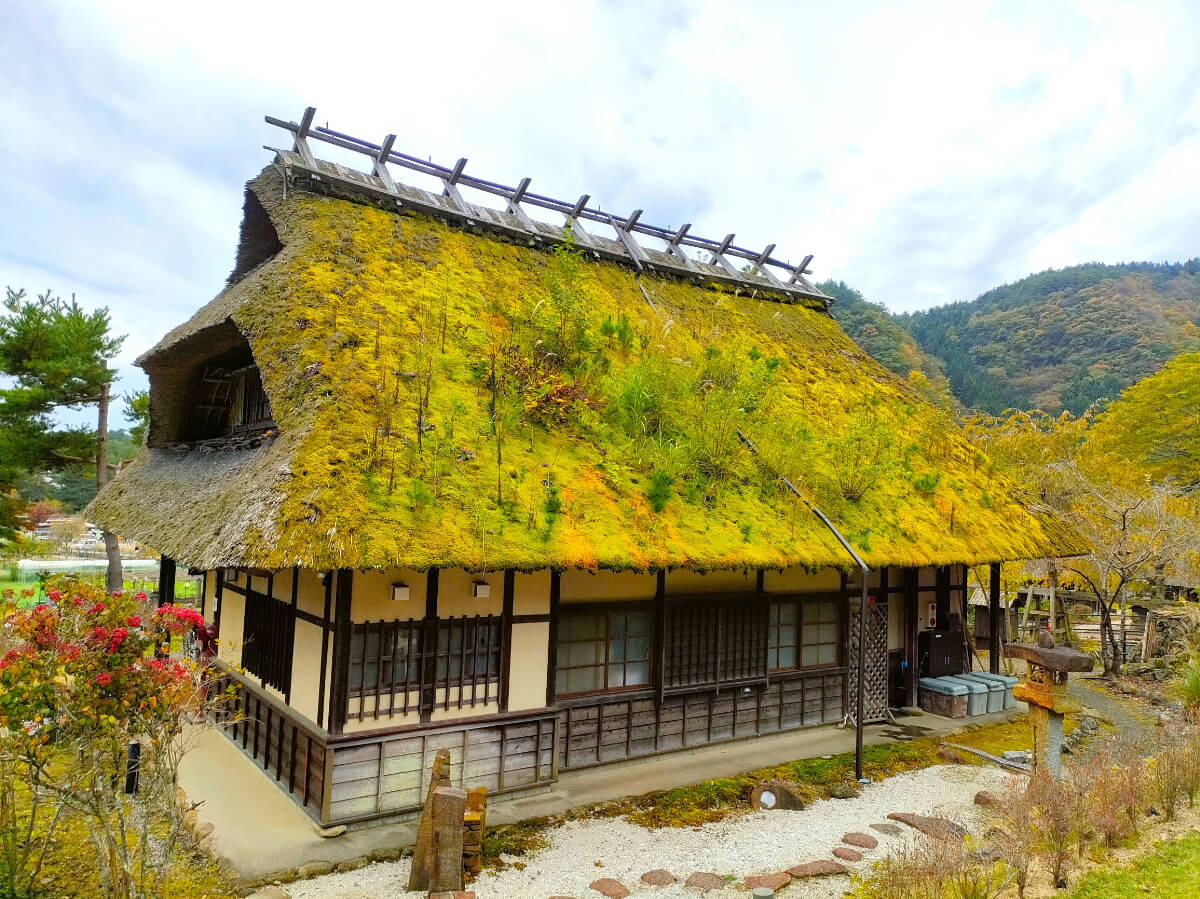 西湖いやしの里根場 総合案内所の茅葺き屋根
