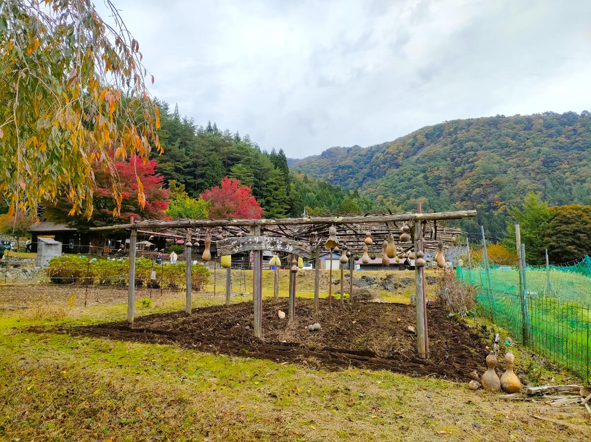 西湖いやしの里根場 散策路脇の田園風景