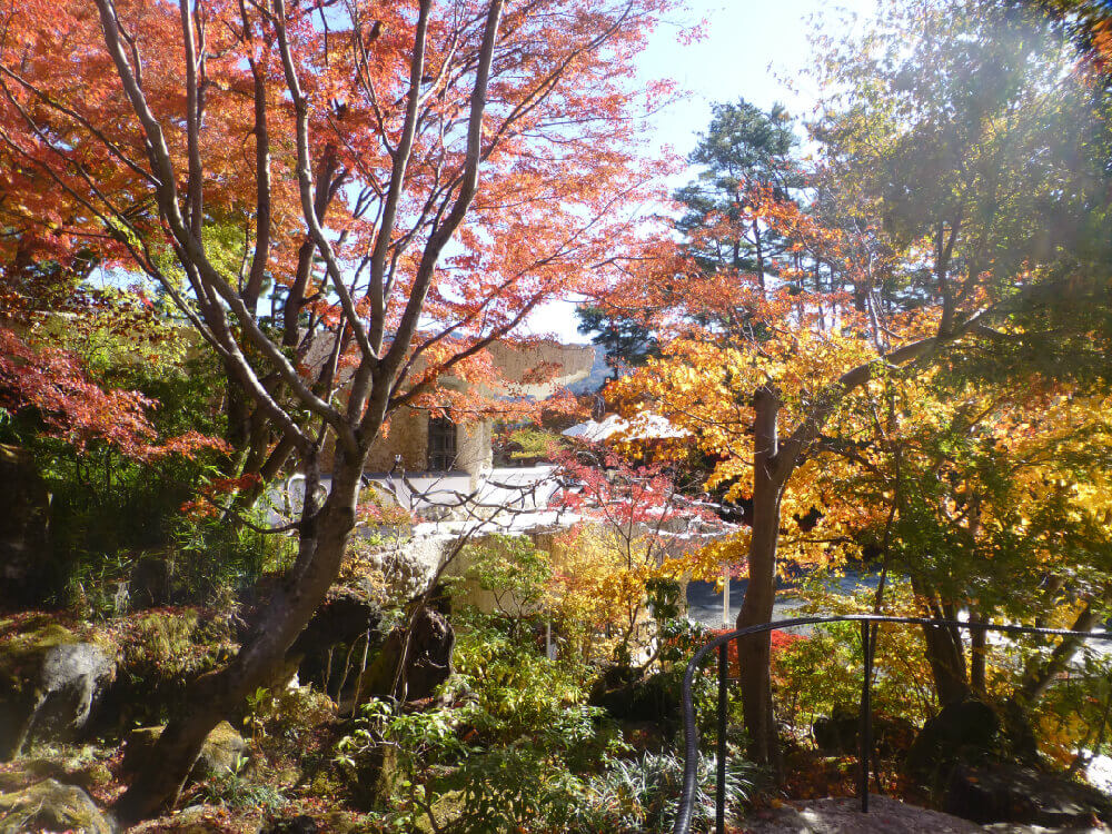 紅葉の様子