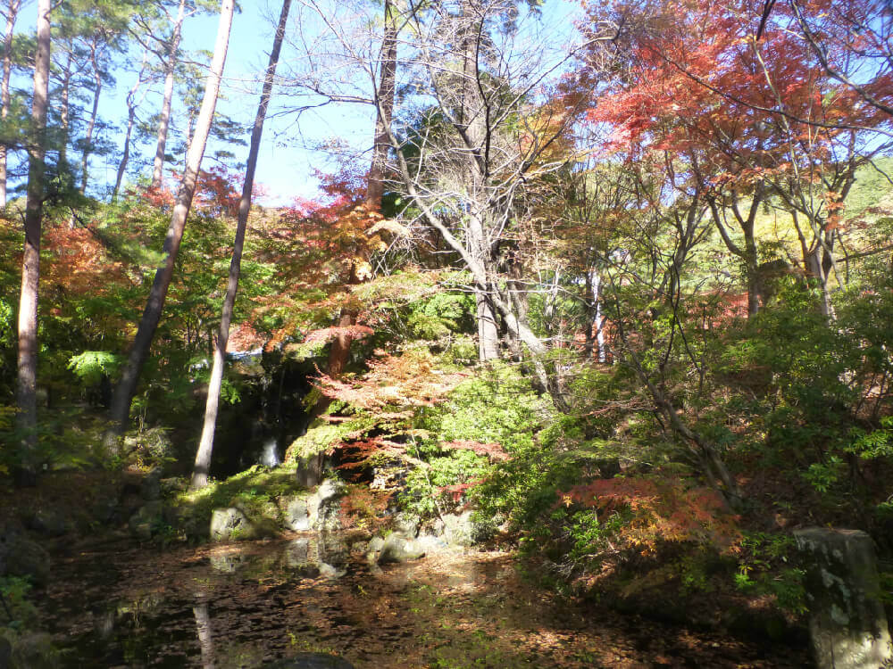 池