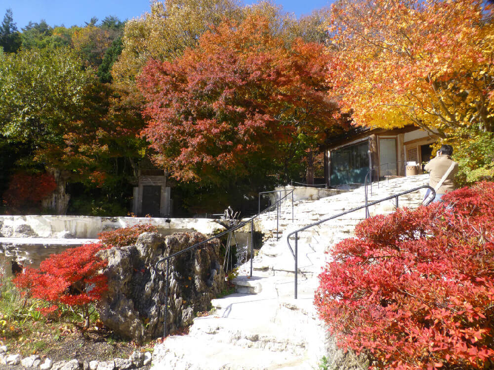庭園