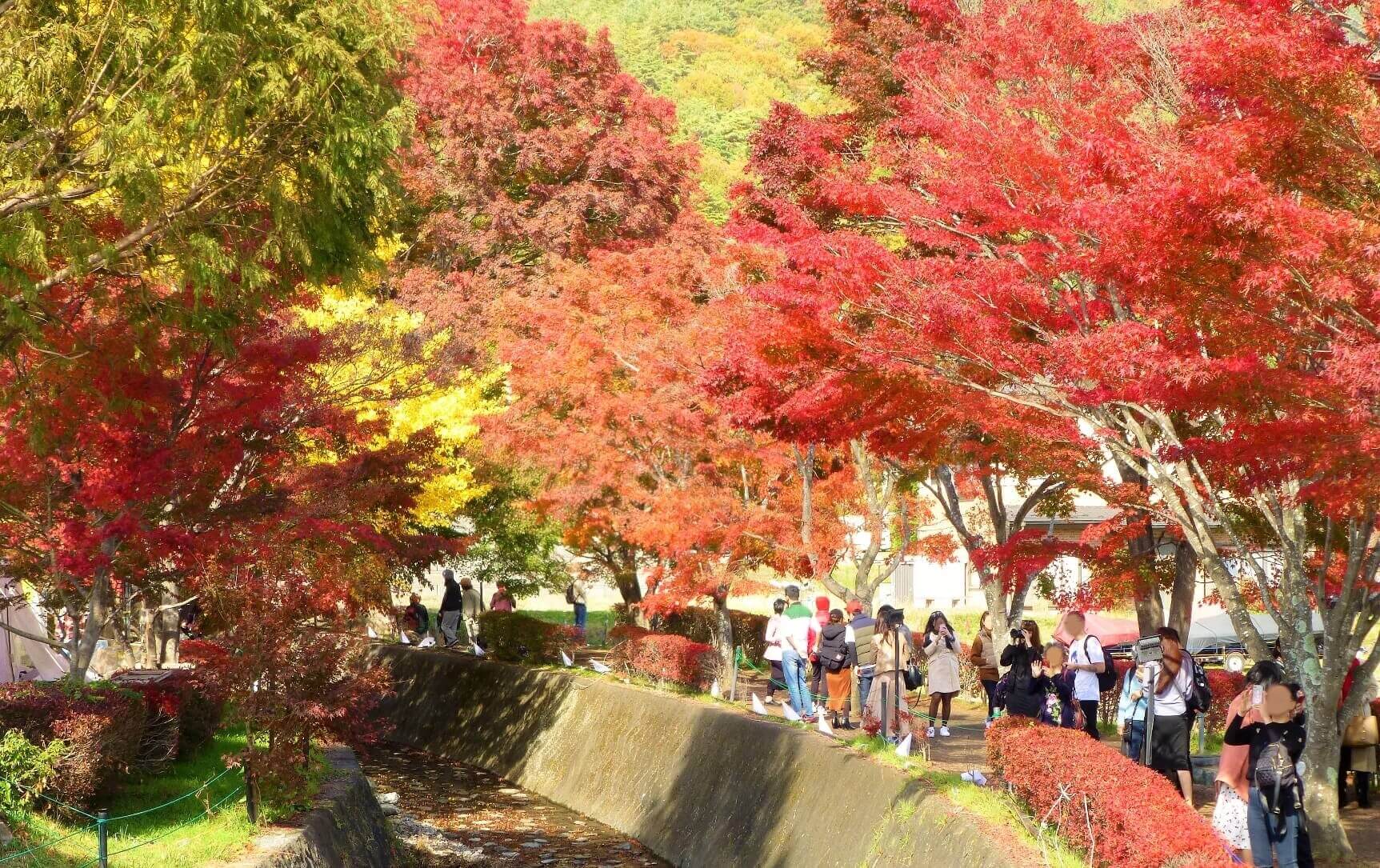 2018富士河口湖紅葉まつり