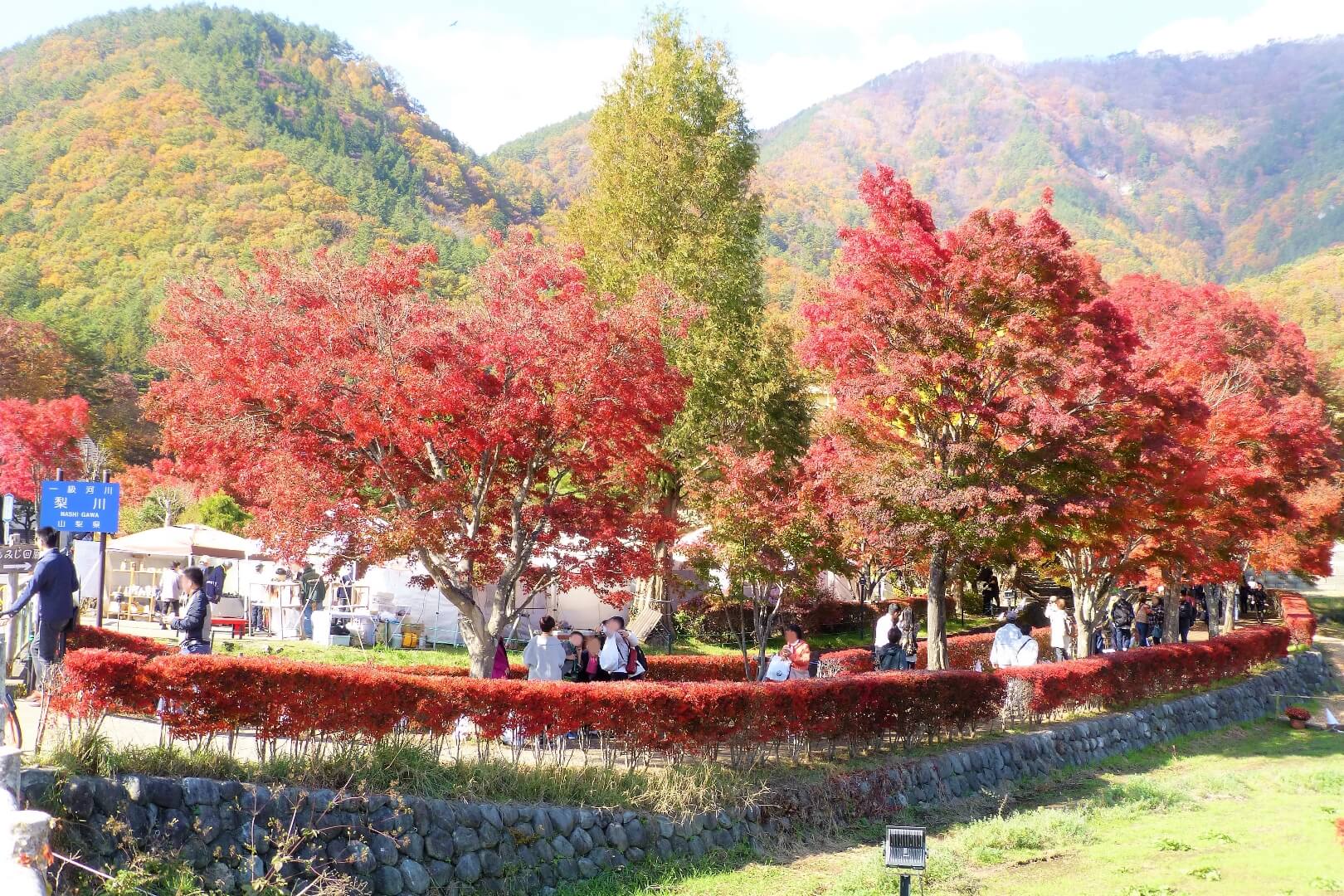 河口湖紅葉まつり もみじ回廊