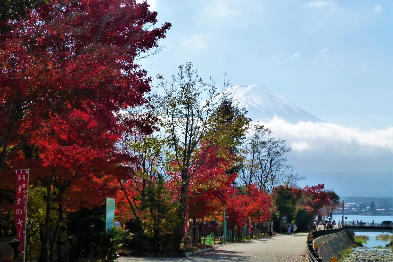 河口湖紅葉まつり 富士山と紅葉