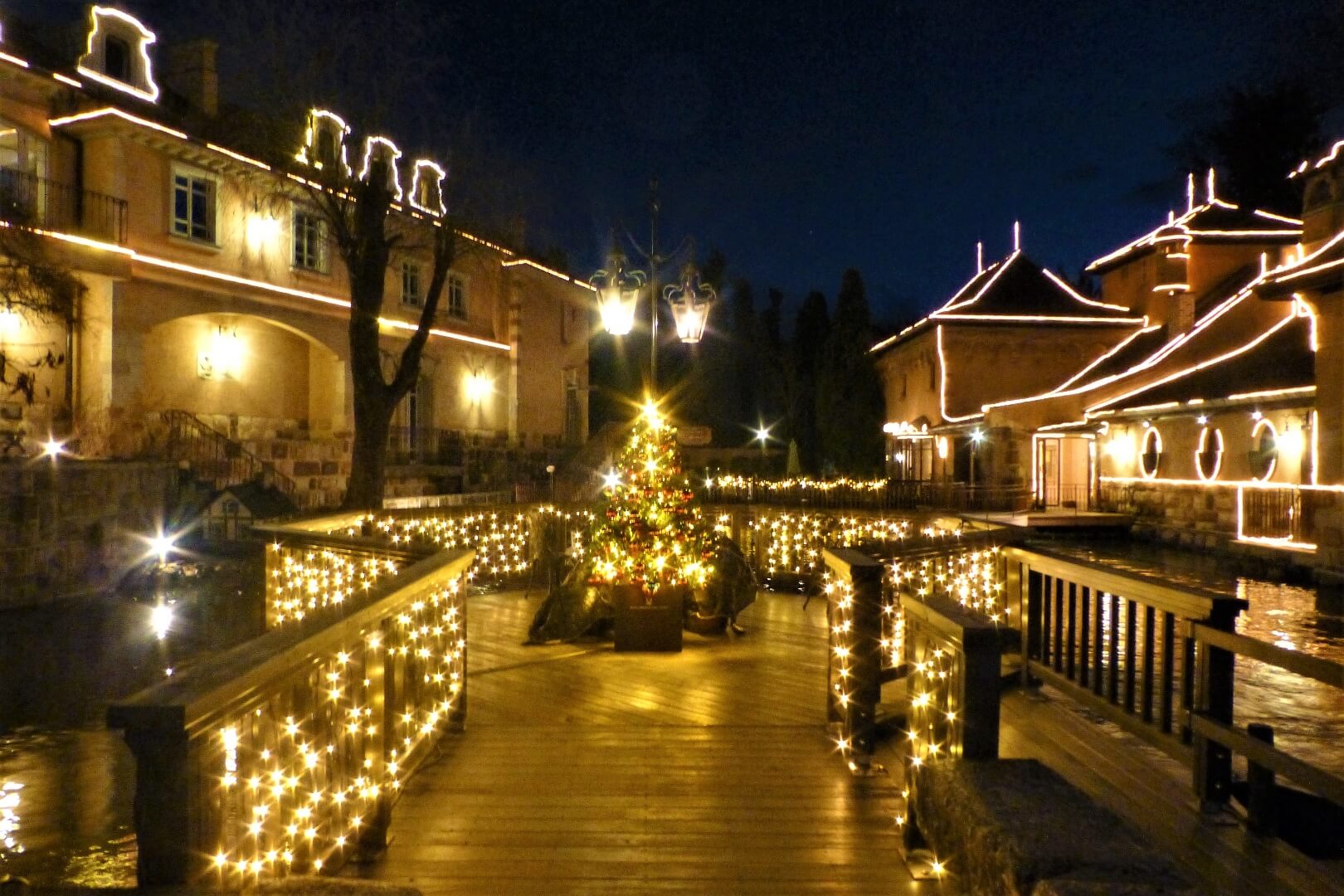 河口湖オルゴールの森美術館 クリスマスツリー