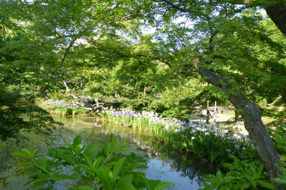 小浜池