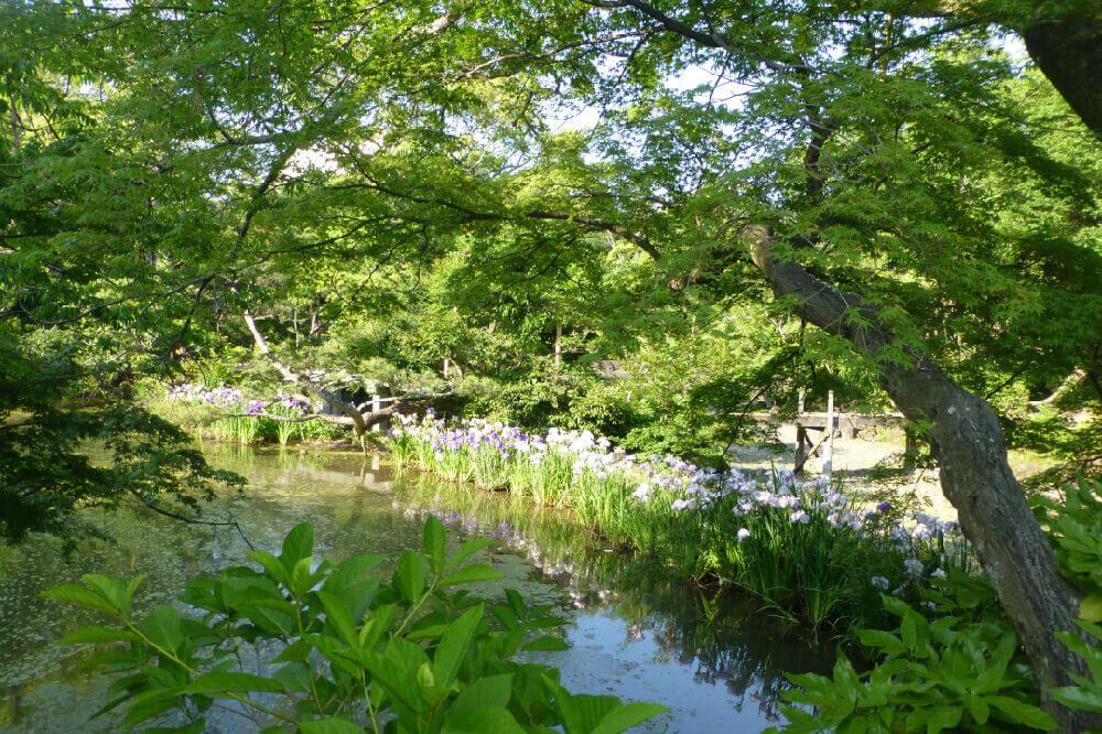 楽寿園