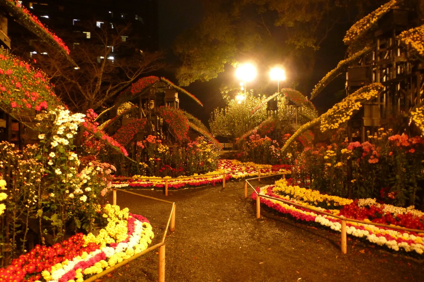 楽寿園 夜菊観賞 大型展示