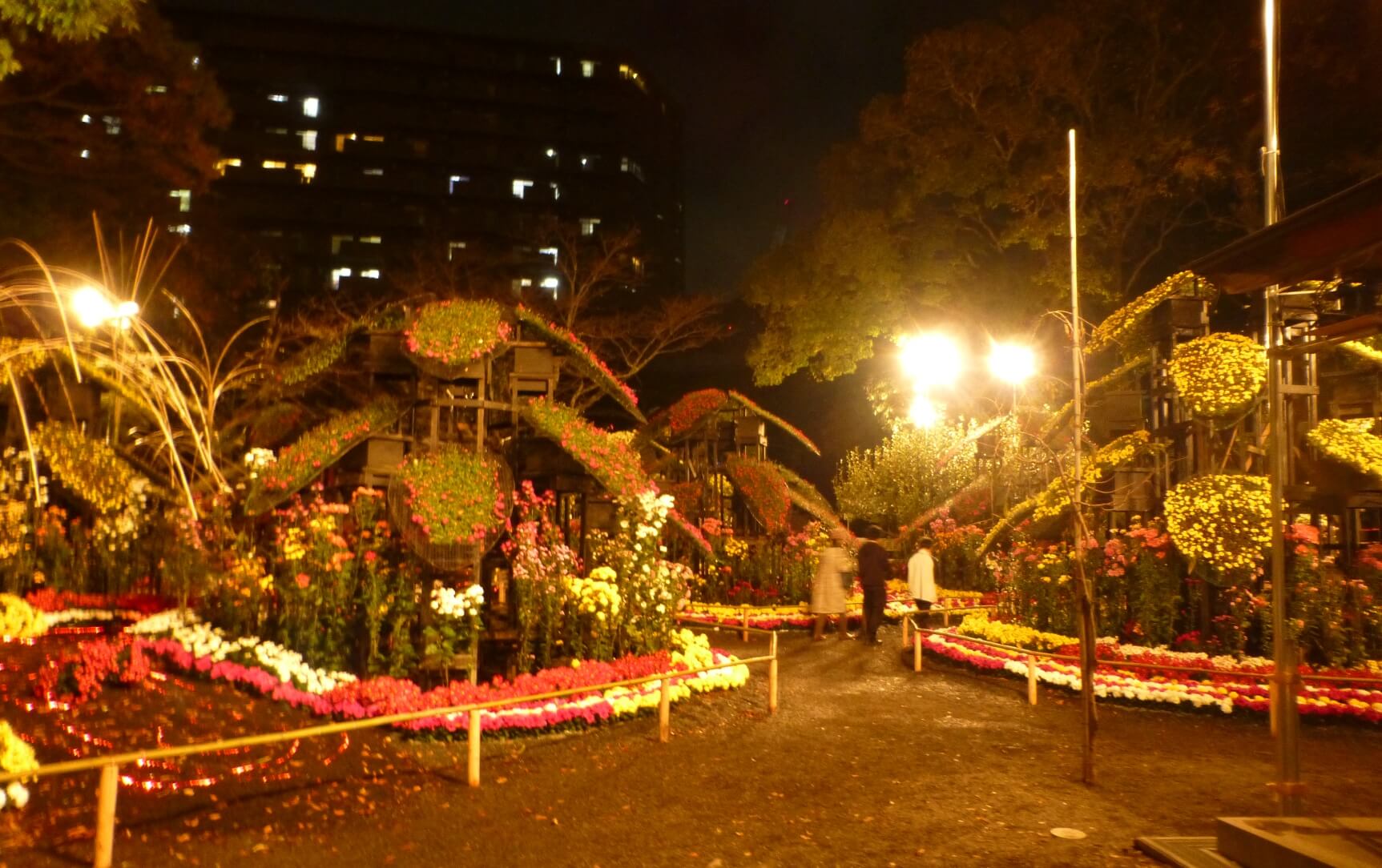 楽寿園 菊花展 楽寿園の大地・自然