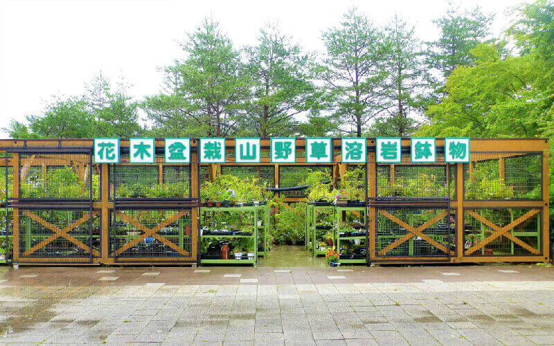 道の駅なるさわ 花木盆栽山野草溶岩鉢物