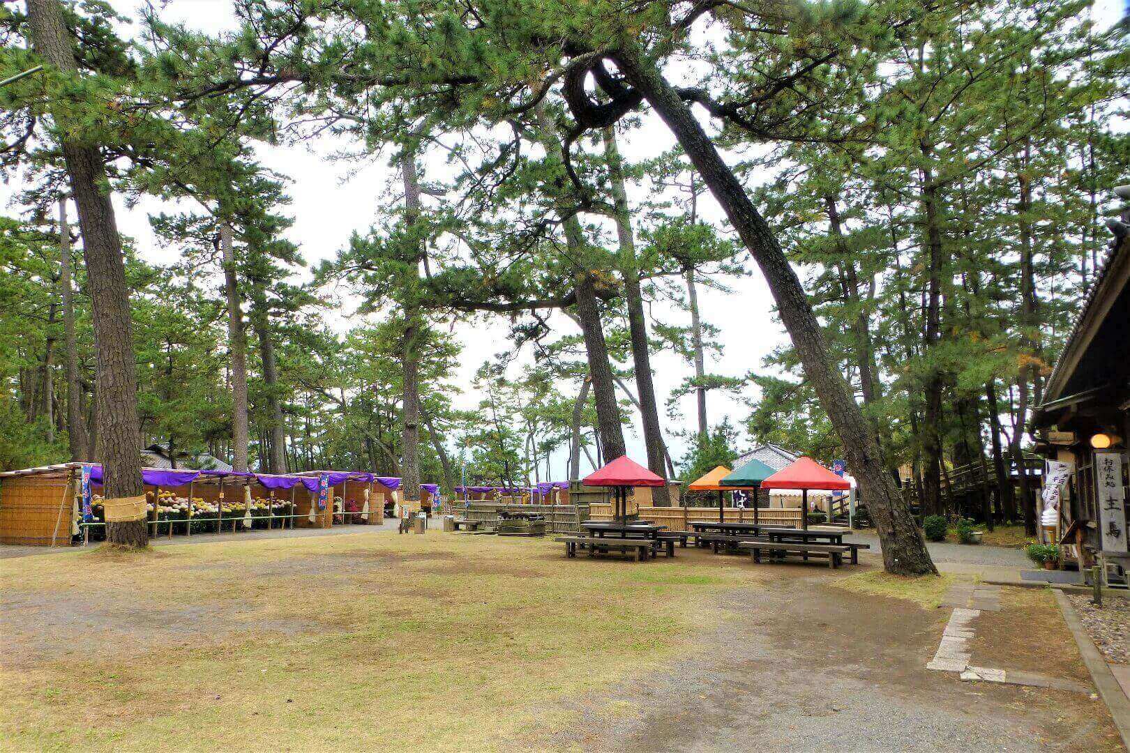 沼津御用邸記念公園 広場