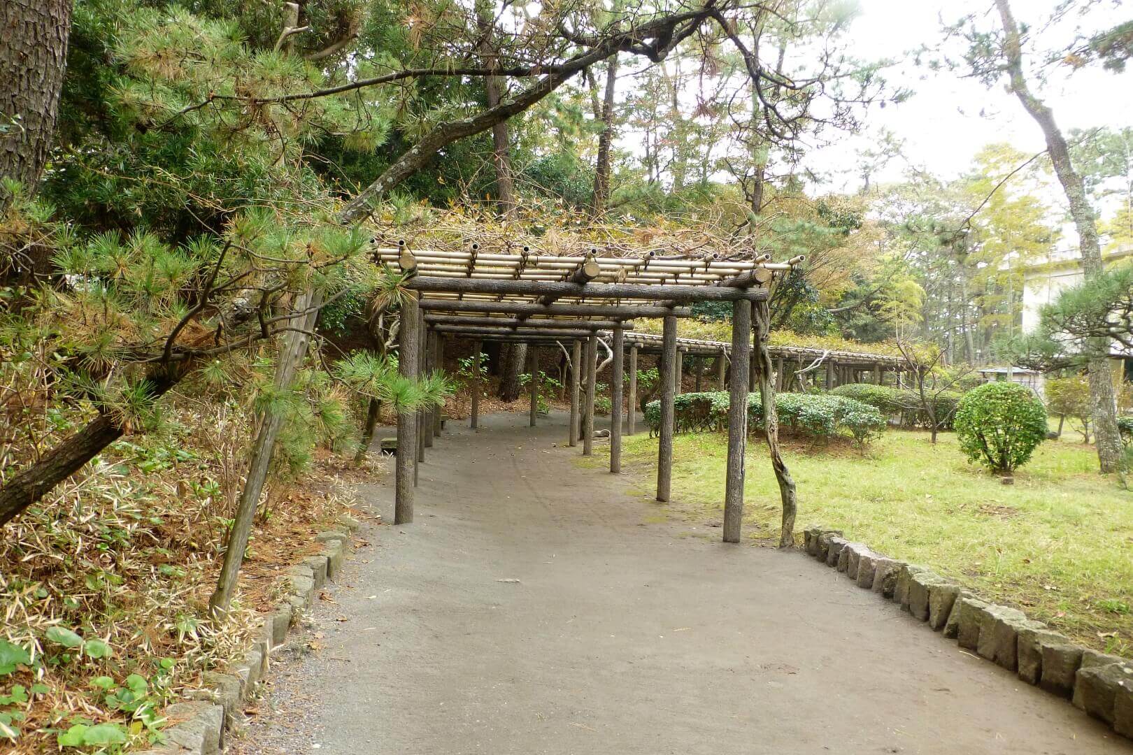 沼津御用邸記念公園 藤棚