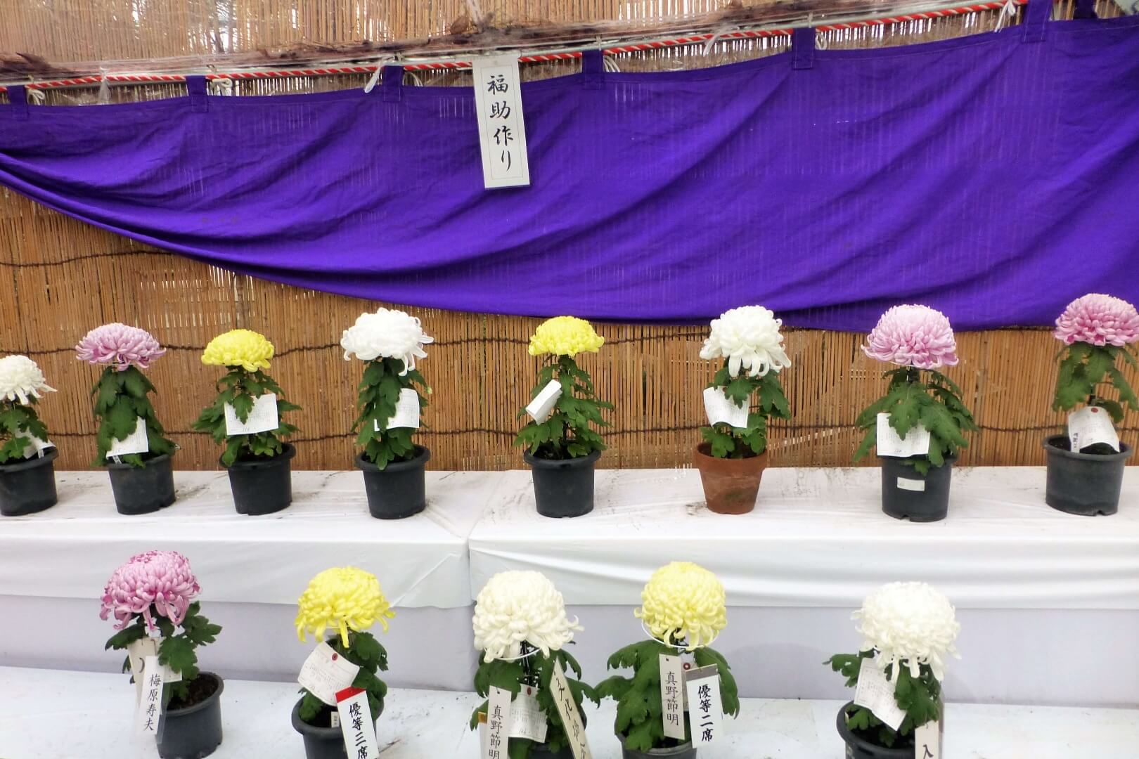 沼津御用邸記念公園 松籟の宴 福助作り