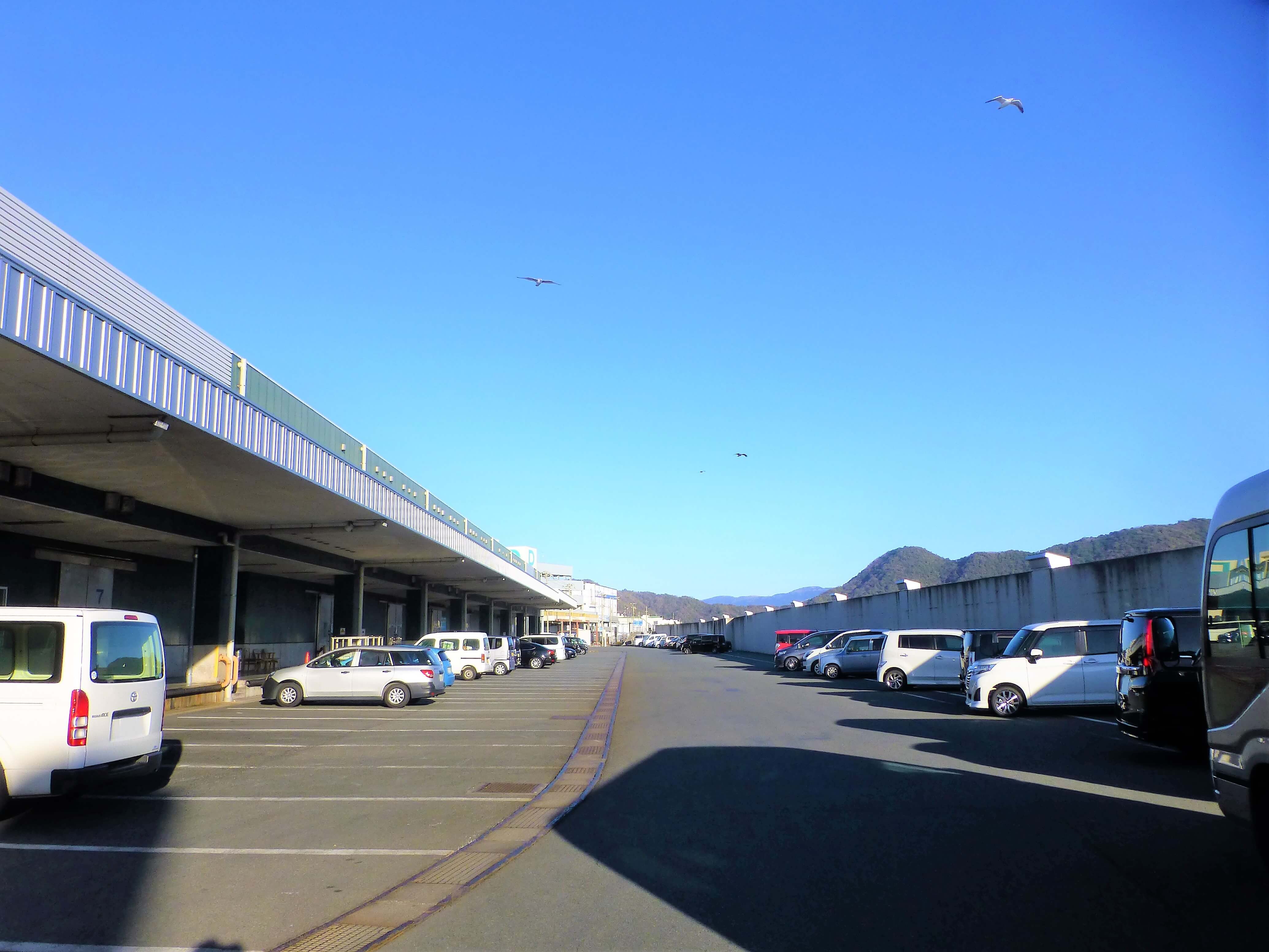 沼津魚市場無料駐車場