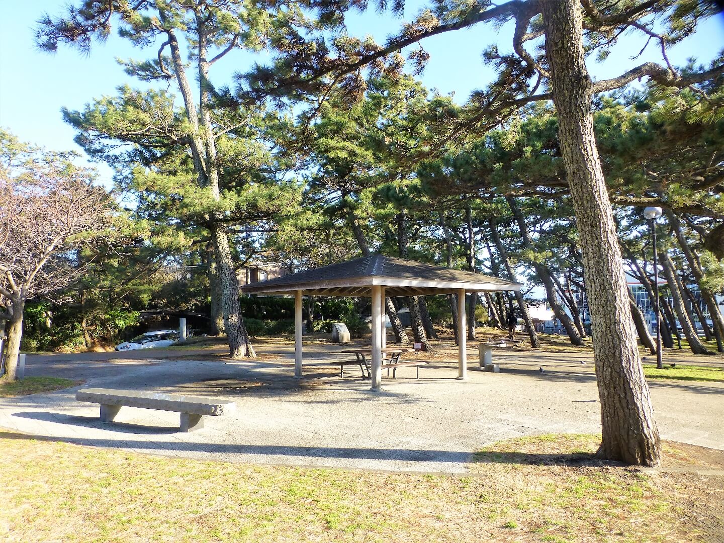 港口公園